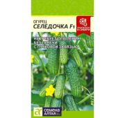 Огурец Селедочка F1 (СА)