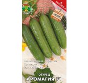 Огурец Аромагия F1 (Поиск)