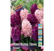 Гиацинт Микс Колор Твинс 1 шт (КЛ)