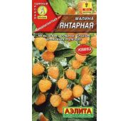 Малина Янтарная (Аэлита)