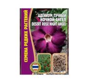 Цветы Адениум тучный Ночный Ангел (РО)