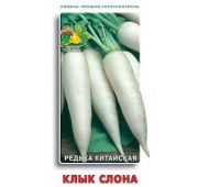 Редька Клык слона (Поиск)