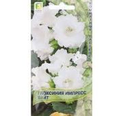 Цветы Глоксиния Импресс Вайт (Поиск)