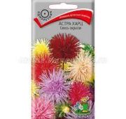 Цветы Астра Харц Смесь (Поиск)