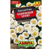 Цветы Хризантема Ванильный зефир (Аэлита)