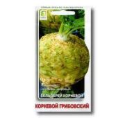 Сельдерей корневой Грибовский (Поиск)