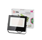 Прожектор Эра FITO 80W -RB-LED-Y