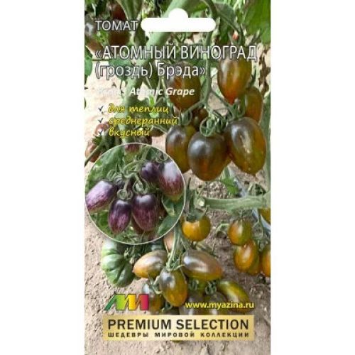 Томат атомный виноград бреда отзывы фото Томат атомный виноград бреда отзывы фото
