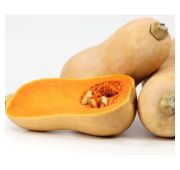 Тыква Матильда (ЕСМ)