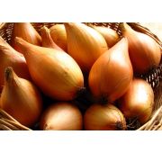 Лук-севок длинн 1кг  (Голландия)