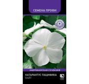 Цветы Катарантус Пацифика Вайт (Поиск)