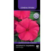 Цветы Катарантус Пацифика Бургунди (Поиск)