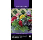 Цветы Целозия Брейниак микс (Поиск)