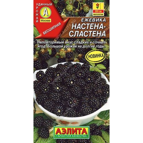 Ежевика Настена-Сластена (Аэлита)