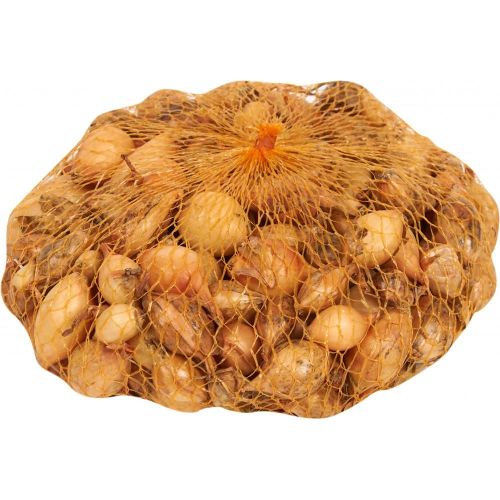 Лук-севок круглый 1кг. (Голландия)