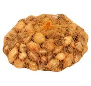 Лук-севок круглый 1кг. (Голландия)