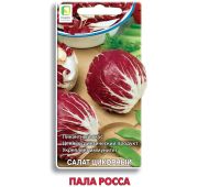 Салат цикорный Пала Росса (Поиск)
