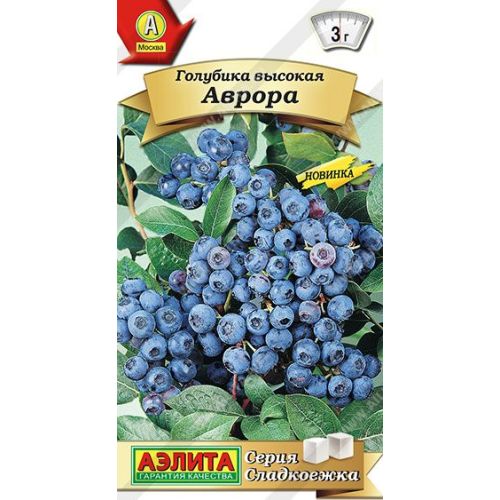 Голубика Аврора (Аэлита)