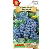 Голубика Аврора (Аэлита)