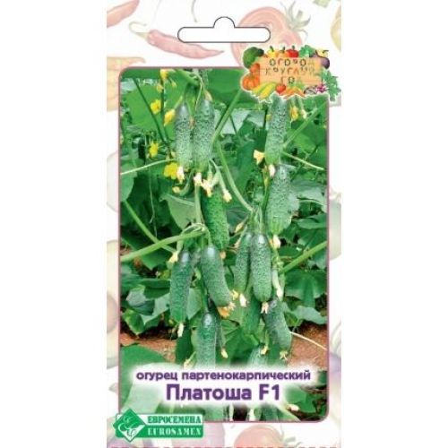 Огурец Платоша F1 (ЕСМ)