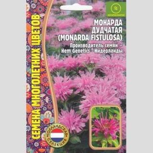 Цветы Монарда Дудчатая многолетняя (РО)