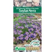 Цветы Брахикома Голубая Мечта (ЕСМ)
