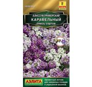 Цветы Алиссум Карамельный смесь (Аэлита)