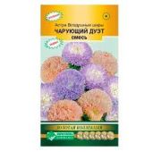 Цветы Астра Воздушные шары чарующий дуэт смесь (ЕСМ)
