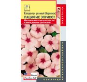 Цветы Катарантус Пацифика Эприкот (Поиск)