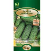 Огурец Директор F1 (Поиск)