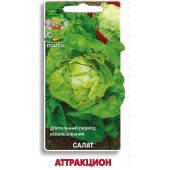 Салат Атракцион (Поиск)
