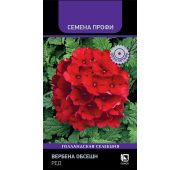 Цветы Вербена Обсешн Ред (Поиск)