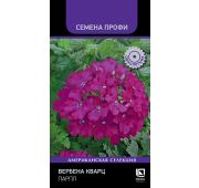 Цветы Вербена Кварц Парпл (Поиск)