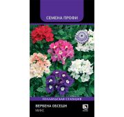 Цветы Вербена Обсешн микс (Поиск)