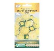 Цветы Астра Драгон Солнечный Круг (ЕСМ)