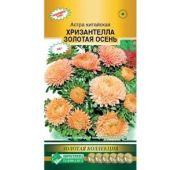 Цветы Астра Хризантелла Золотая Осень (ЕСМ)