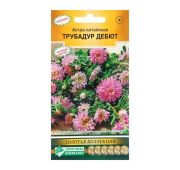 Цветы Астра Китайская Трубадур Дебют (ЕСМ)