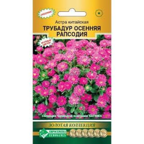 Цветы Астра Китайская Трубадур Осенняя Рапсодия (ЕСМ)