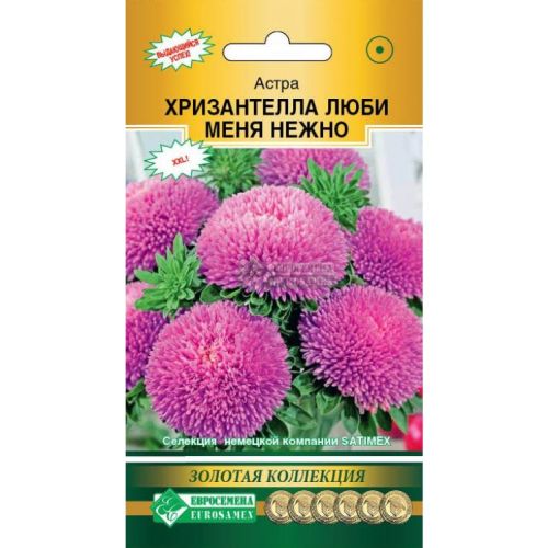 Цветы Астра Хризантелла Люби меня нежно (ЕСМ)