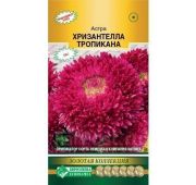 Цветы Астра Хризантелла Тропикана (ЕСМ)