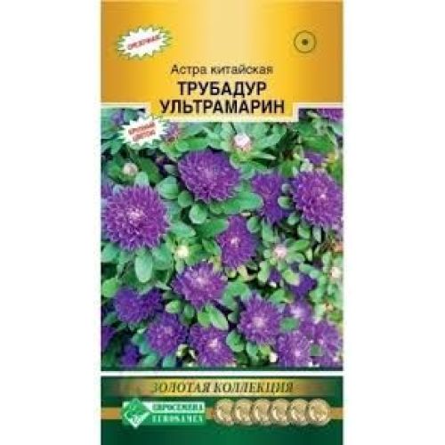 Цветы Астра Китайская Трубадур Ультрамарин (ЕСМ)