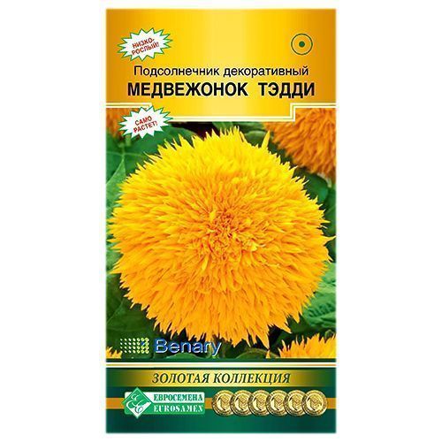 Цветы Подсолнечник Медвежонок (ЕСМ)