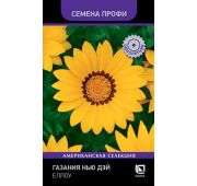 Цветы Газания Нью Дей Еллоу (Поиск)