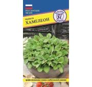 Щавель Хамелеон (Престиж)