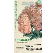 Цветы Левкой Айрон Абрикосовый (Гавриш)