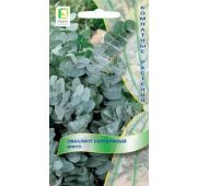 Цветы Эвкалипт Серебрянный Бинго (Поиск)