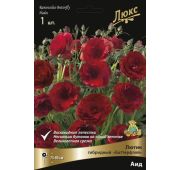 Ранункулюс Батерфляй Аид 1 шт.(Поиск)