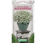 Цветы Алиссум Белоснежная Вуаль (ЕСМ)