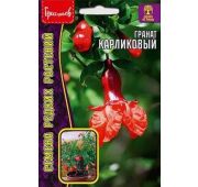Цветы Гранат Карликовый (РО)