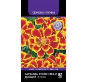 Цветы Бархатцы Дюранго Флейм (Поиск)